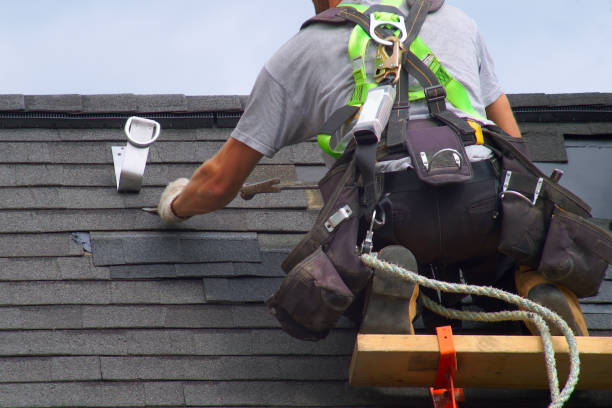 Best Shingle Roofing Installation  in Petersburg, AK