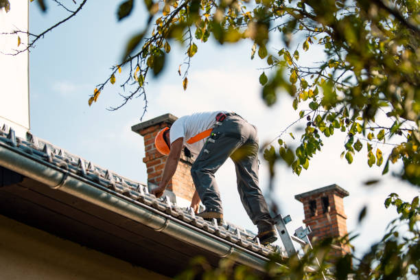 Best Roof Restoration Services  in Petersburg, AK