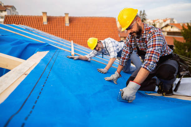 Best Tile Roofing Contractor  in Petersburg, AK