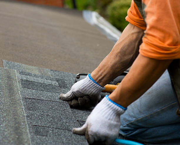 Best Roof Leak Repair  in Petersburg, AK