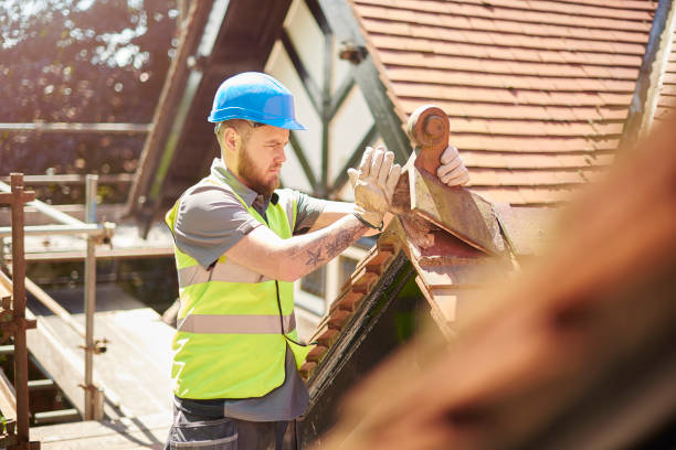 Best Roof Maintenance Services  in Petersburg, AK